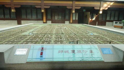 文明绘卷：探寻人类文明发展的脉络与奥秘，揭示历史背后的精彩画卷