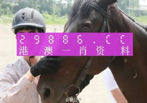 澳门一肖一码一中一肖l|实证解答解释落实_尊贵版.6.918