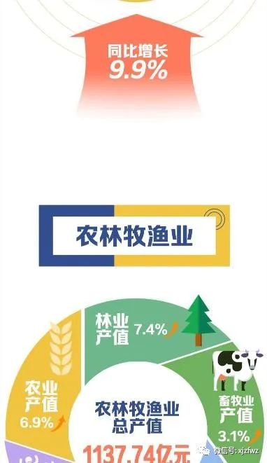 新奥门特免费资料大全今天的图片|真实数据解释落实_可靠型.2.174