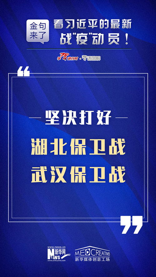 新澳好彩免费资料今晚|全面数据应用分析_V9.144