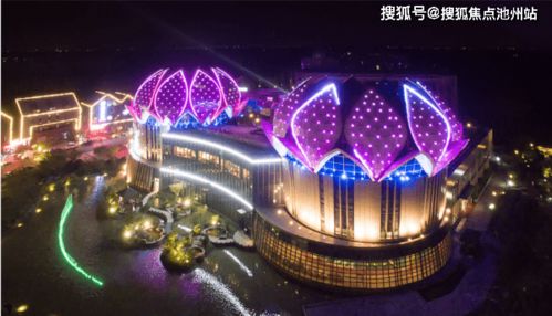 我是一只猫下载最新版-我是一只猫游戏下载安装v.0.73